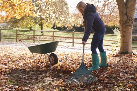 Fall is in the air ... rake leaves the right way! - MPLS Health & Wellness NE