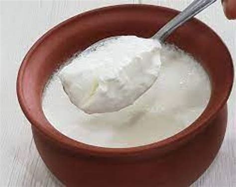 Creamy Texture Healthy And Tasty Curd /malai Dahi Age Group: Children ...