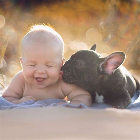 Que ternura. Una foto preciosa | Baby bulldog, Baby animals, Baby ...