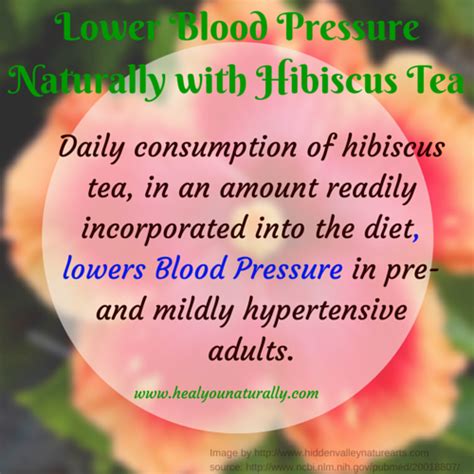 Lower Blood Pressure With Hibiscus Tea | HealYOUnaturally