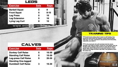 Arnold Legs And Calves Workout Routine - Schwarzenegger Training ...