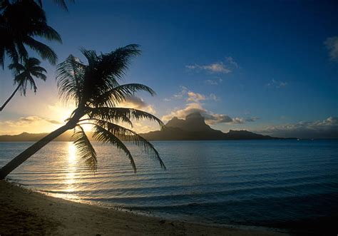 Best Tahiti Sunset Stock Photos, Pictures & Royalty-Free Images - iStock