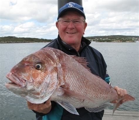 Coffin Bay Fishing Alive and well - Australian Coastal Safaris