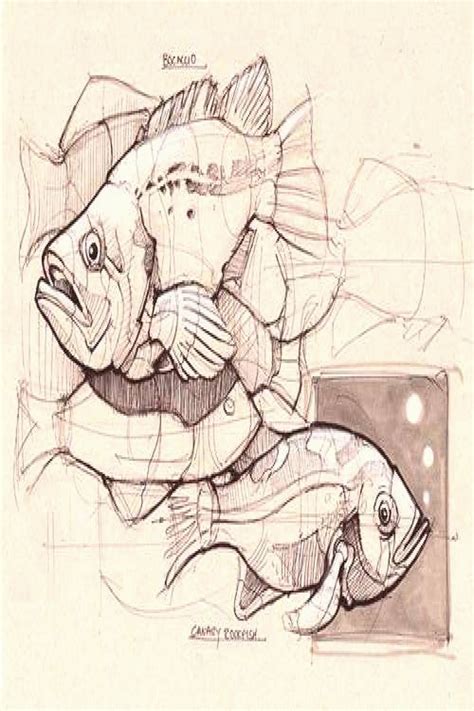 Alphi Xyz Fish Drawings Fish Sketch Drawn Fish - vrogue.co