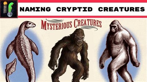 Taxonomania. Naming cryptid creatures! | Cryptid creatures, Creatures, Weird creatures