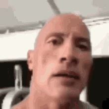 Eyebrow Meme | The rock eyebrow, The rock dwayne johnson, Dwayne ...