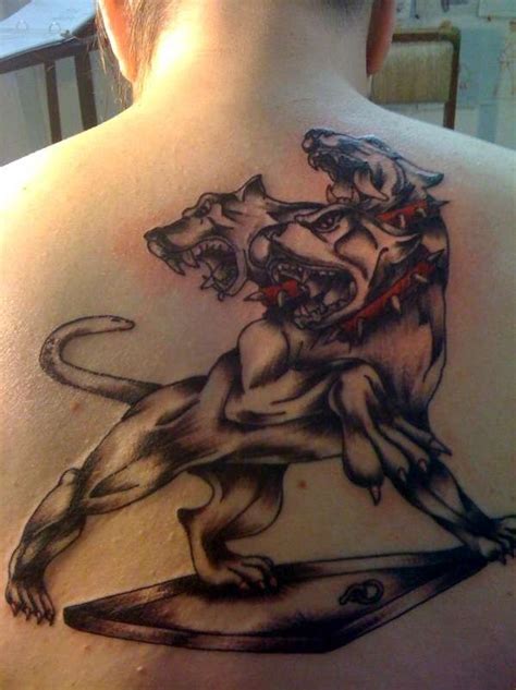 Illustrative style colored upper back tattoo of big Cerberus ...