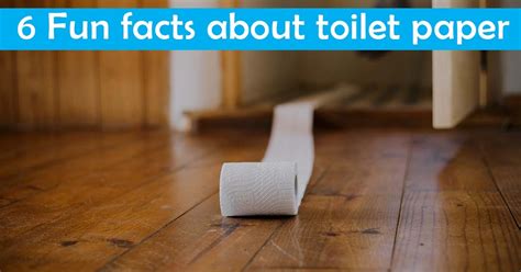 6 Fun facts about toilet paper