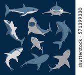 Blue Shark Vector Art image - Free stock photo - Public Domain photo - CC0 Images