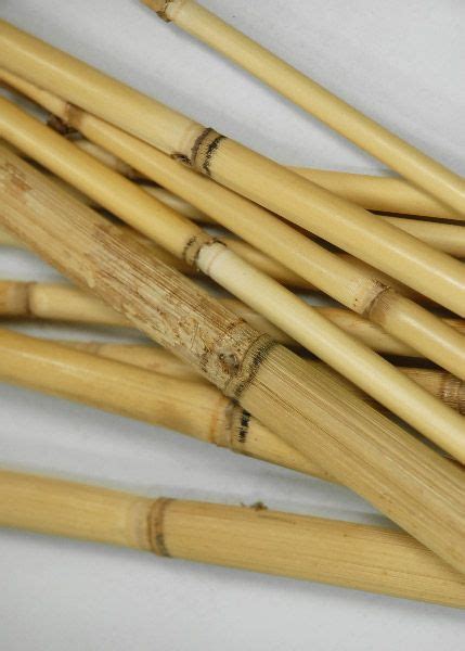 Bamboo Poles, 20in (Pack of 12) in 2020 | Bamboo poles, Bamboo, Bamboo crafts