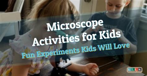 Microscope Activities for Kids - Fun Experiments Kids Will Love - STEM Education Guide