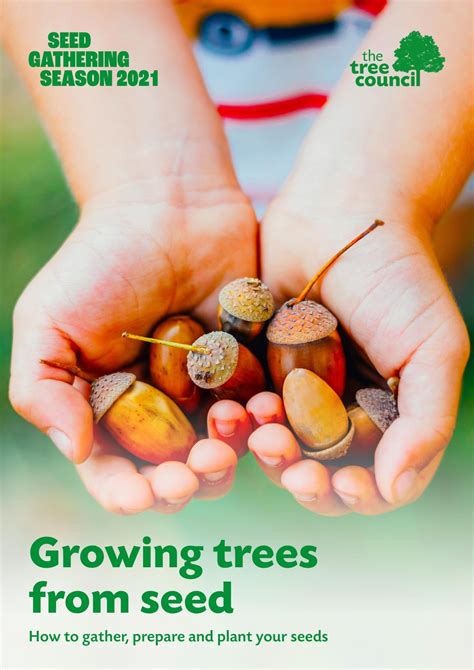 Growing trees from seed - The Tree Council