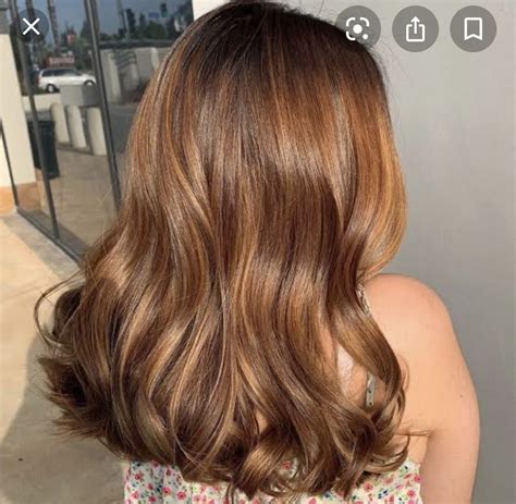 Chestnut hair | Balayage hair, Honey brown hair, Hair inspo color