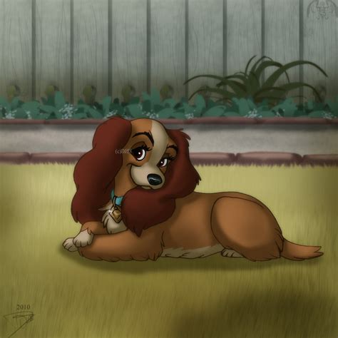 lady and the tramp - Lady and Tramp Fan Art (32588715) - Fanpop