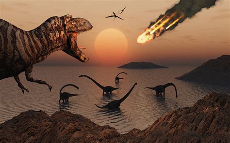 Dinosaur Extinction | Earth Blog