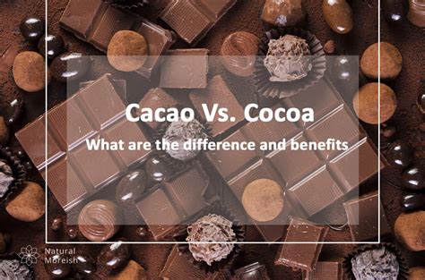 Differences and Benefits of Cacao and Cocoa