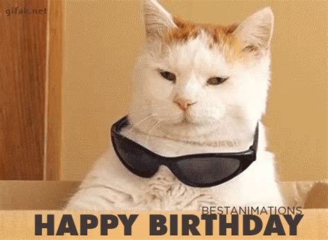 Happy Birthday Cats Gifs