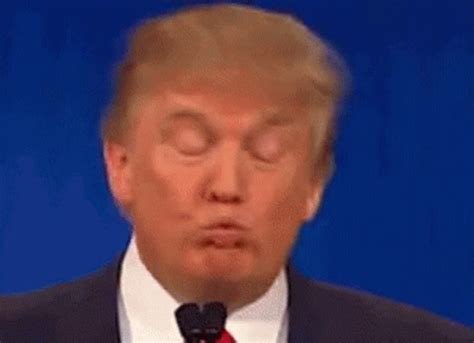 Donald Trump Headbob GIF - Donald Trump Headbob Pout - Discover & Share GIFs