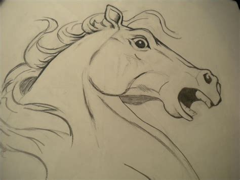 Scared horse by meganstarduncan on DeviantArt