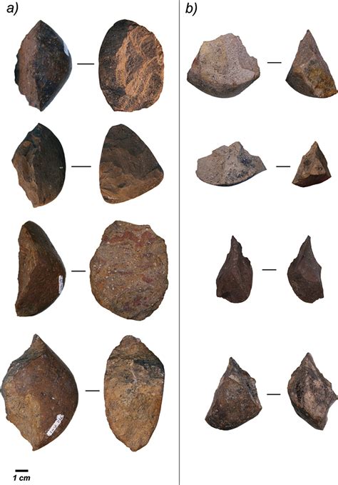 Archaeology and the Origins of Human Cumulative Culture: A Case Study from the Earliest Oldowan ...