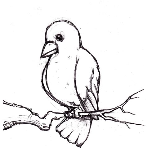 Bird Drawing For Kids at GetDrawings | Free download