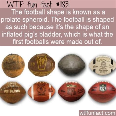 WTF Fun Fact - Football / Prolate Spheroid | Wtf fun facts, Fun facts, Interesting facts mind blown