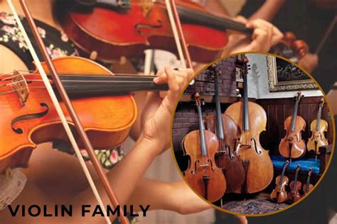 Violin Family - A Quick Guide - Phamox Music