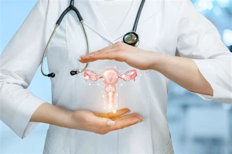 Understanding the Role of a Gynecologist in Abu Dhabi | Al Hosn