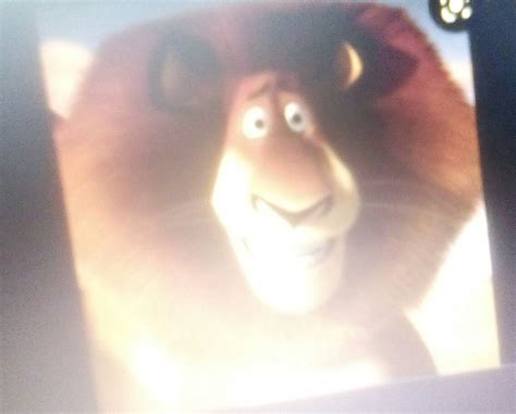 Alex (Madagascar) | The Parody Wiki | Fandom