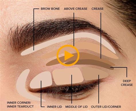 Redirecting | How to apply eyeshadow, Makeup tips for beginners, Eye makeup