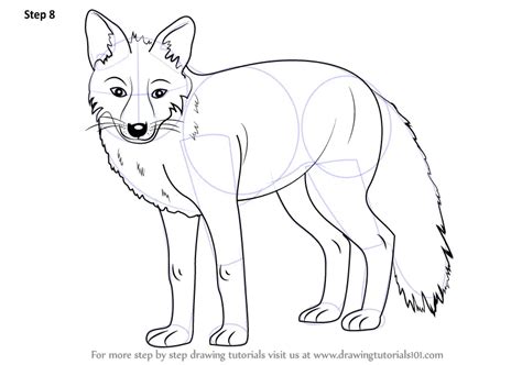 Learn How to Draw a Fox (Zoo Animals) Step by Step : Drawing Tutorials