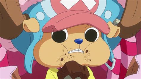 Chopper - One Piece Anime Episode 787 | Whole Cake Island Arc | One piece anime episodes, One ...