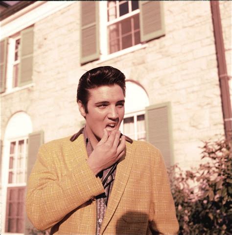 Elvis Presley's Graceland | Elvis presley graceland, Elvis presley photos, Elvis presley wallpaper