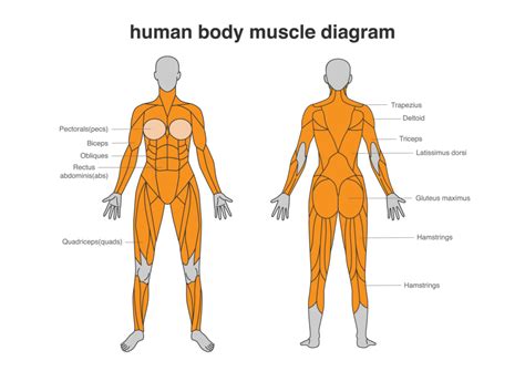 Working Your Core | Fitat60.com