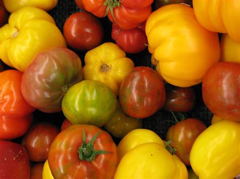 Heirloom Tomatoes | These beautiful heirloom tomatoes were a… | Flickr