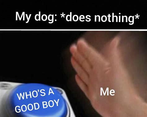 I love my dogs : r/memes