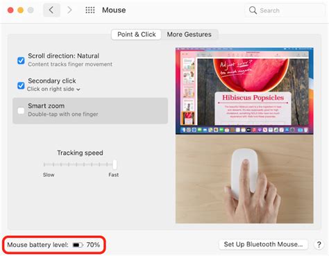 How to Check Your Magic Mouse's Battery Life | Macinstruct