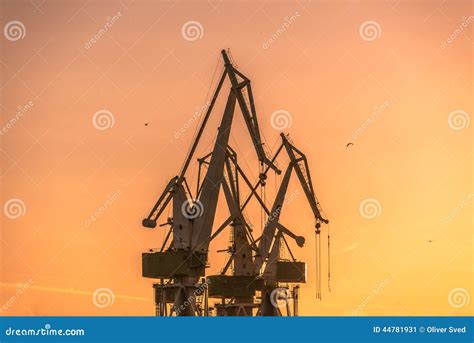 Industrial Cargo Cranes in the Dock Stock Image - Image of harbour, shipping: 44781931