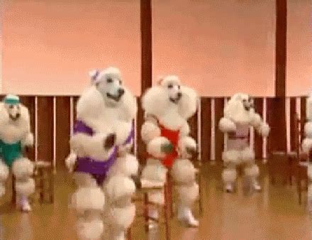 dogs working out funny gif | WiffleGif