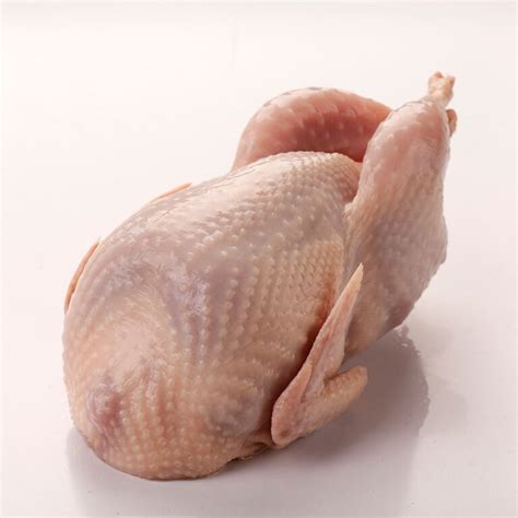 Buy Quail Meat - Buy Whole Quail - Rabbit Meat For Sale Online