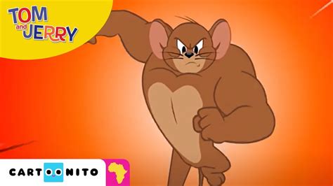 Tom and Jerry: Show their Muscles | Cartoonito Africa - YouTube