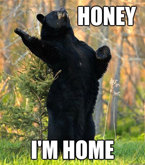 Honey I'm Home - Fabulous bear is fabulous! - quickmeme