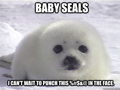 Baby Seals memes | quickmeme