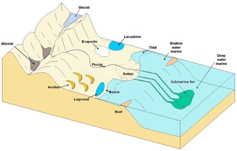 6.3 Depositional Environments and Sedimentary Basins – Physical Geology ...