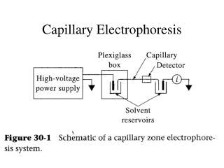 PPT - A. Modes of separation capillary electrophoresis PowerPoint ...