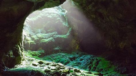 The Shocking Revelation of Guna Caves or Devils Kitchen - TourismTN