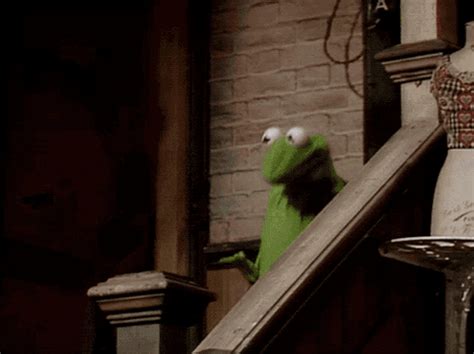 Muppets Muppet Show GIF - Muppets Muppet Show Kermit - Discover & Share GIFs