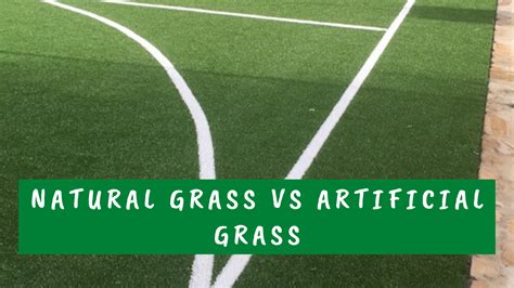 Natural Grass Vs Artificial Grass - Canberra turf solutions