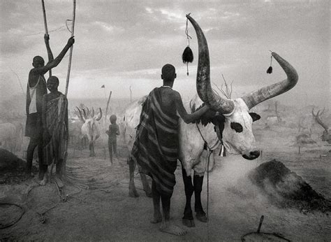 5 Lessons Sebastião Salgado Has Taught Me About Street Photography ...