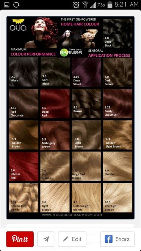 Garnier Olia Color Chart | Garnier hair color, Hair dye colors, Hair color chart